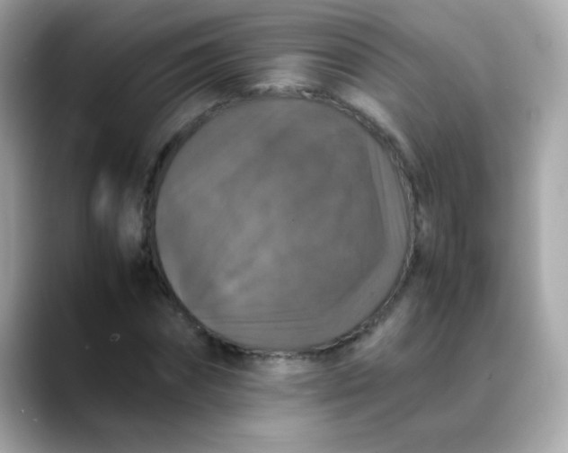 X0000088400874200706051134