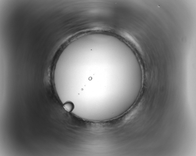 X0000088400875200706051134