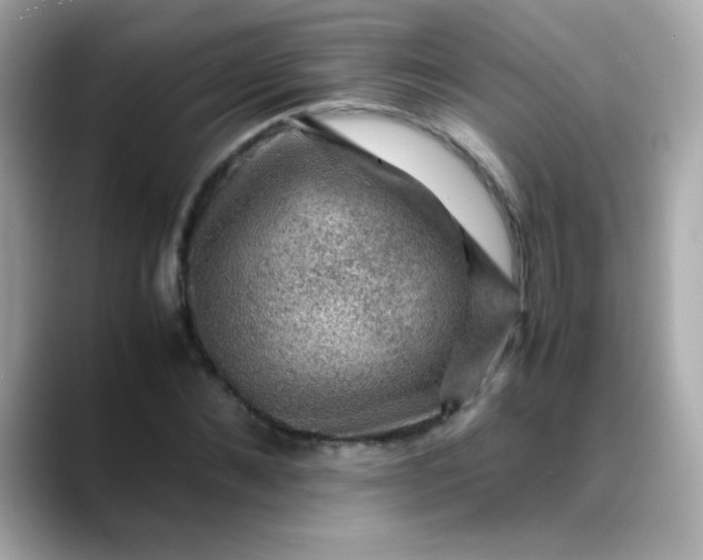 X0000088400876200706051134