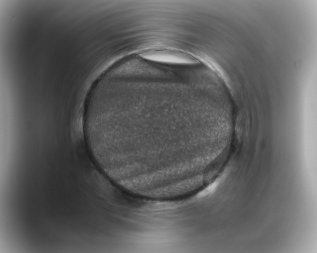 X0000088400877200706051134