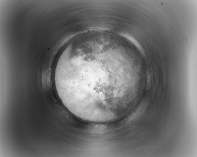 X0000088400878200706051134