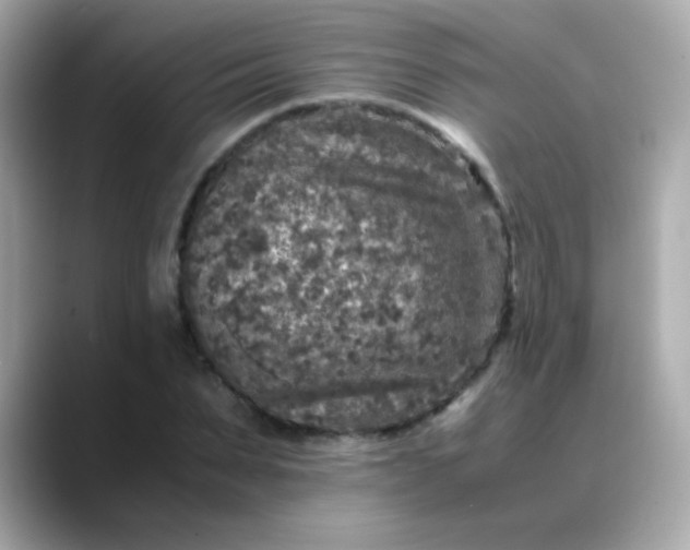 X0000088400879200706051134