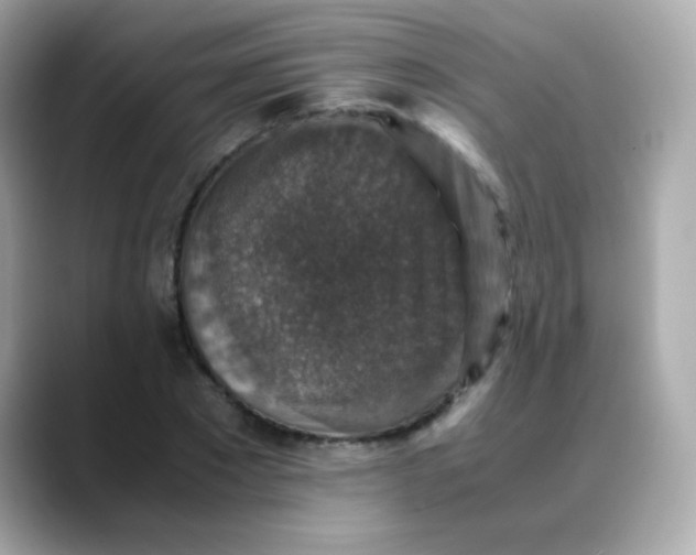 X0000088400881200706051134