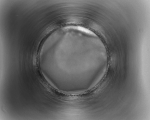 X0000088400882200706051134