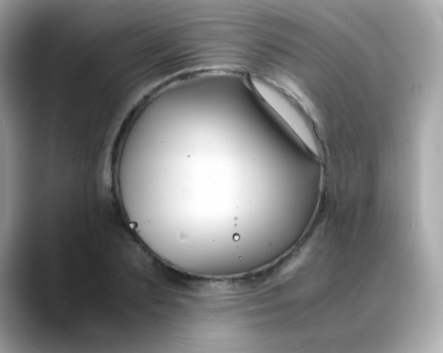 X0000088400883200706051134