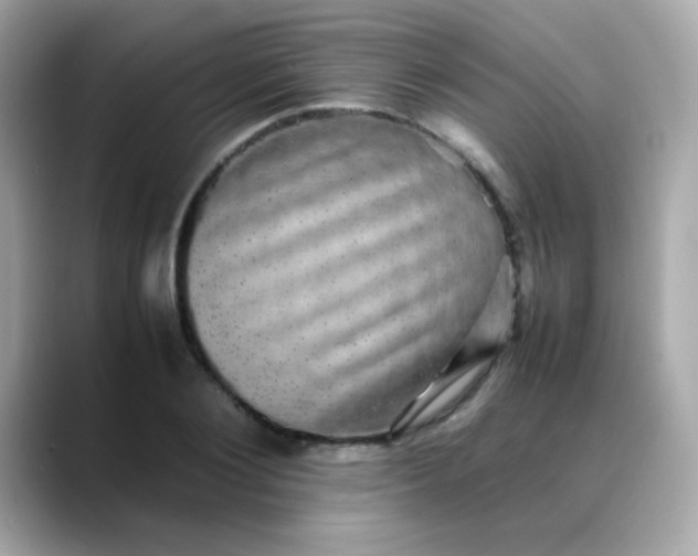 X0000088400884200706051134