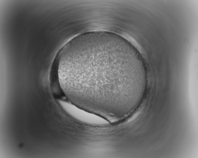 X0000088400885200706051134