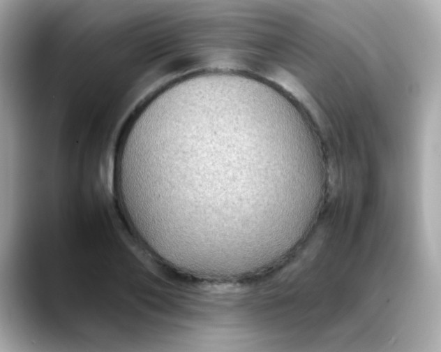 X0000088400886200706051134