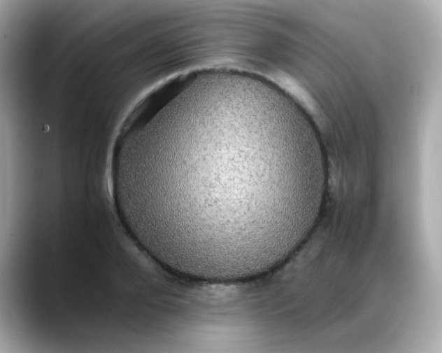 X0000088400888200706051134