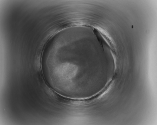 X0000088400889200706051134