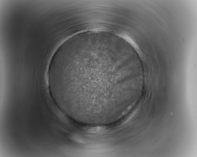 X0000088400891200706051134