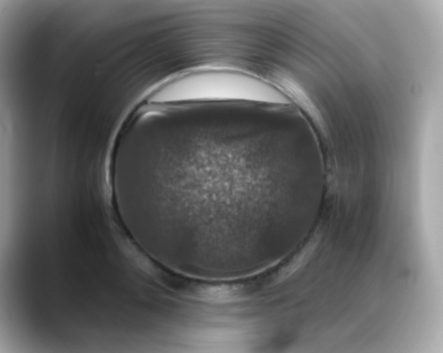 X0000088400892200706051134