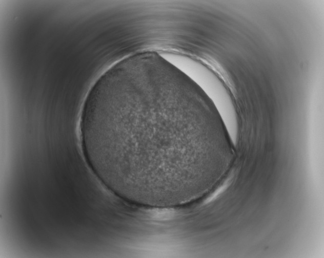 X0000088400893200706051134