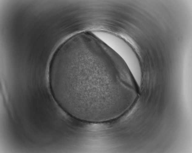 X0000088400894200706051134