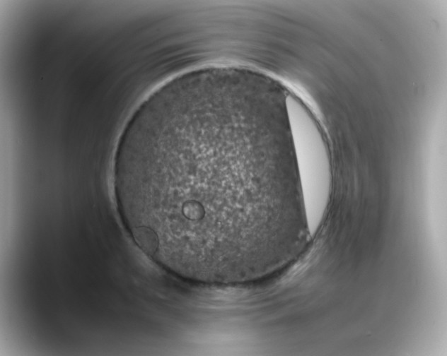 X0000088400895200706051134