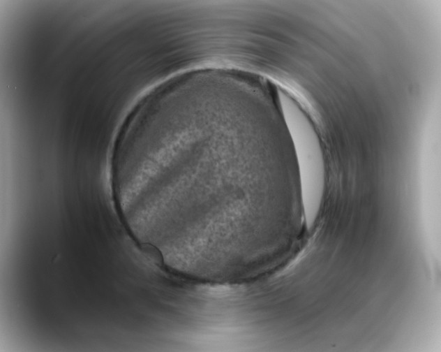 X0000088400896200706051134