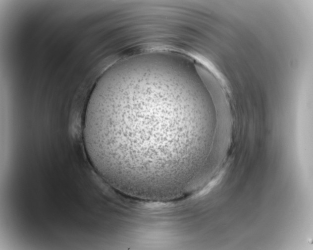 X0000088400897200706051134