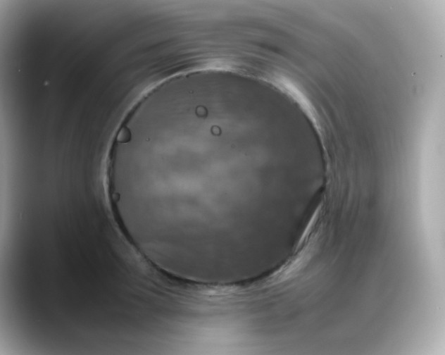 X0000088400899200706051133