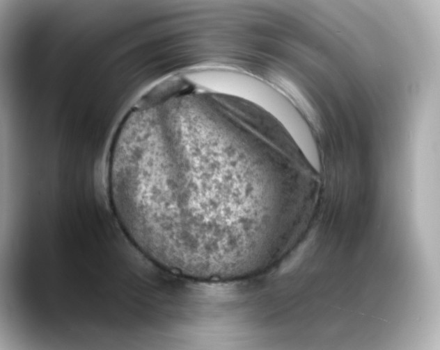 X0000088400900200706051133