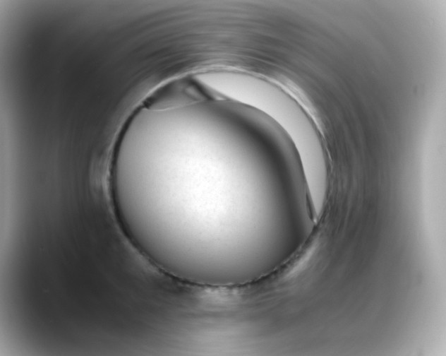 X0000088400901200706051133