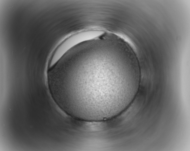 X0000088400902200706051133