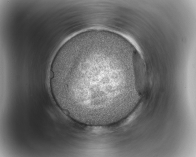 X0000088400903200706051133