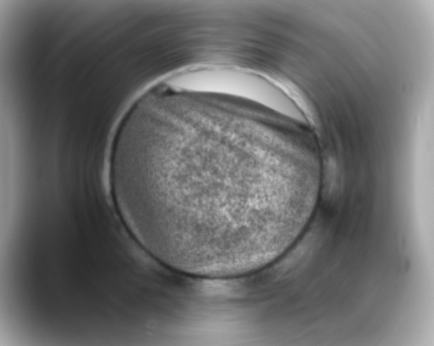 X0000088400904200706051133