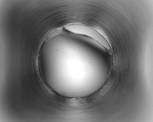 X0000088400906200706051133