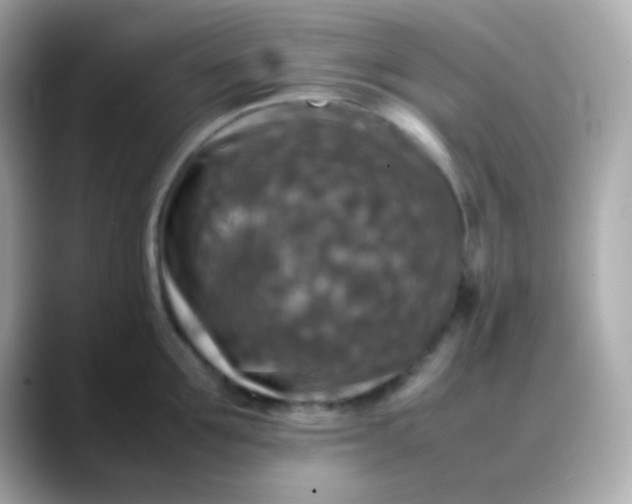 X0000088400907200706051133