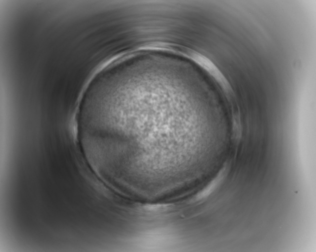 X0000088400908200706051133