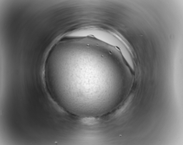 X0000088400909200706051133