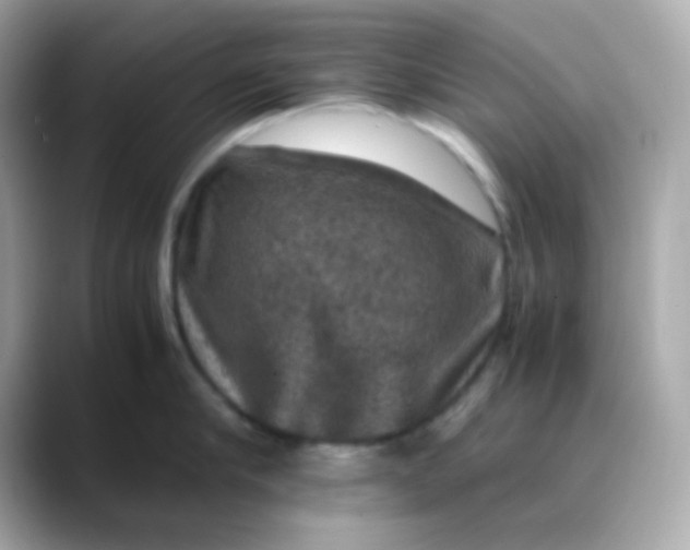 X0000088400910200706051133