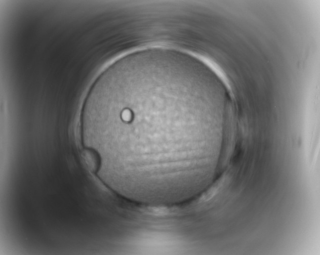 X0000088400911200706051133