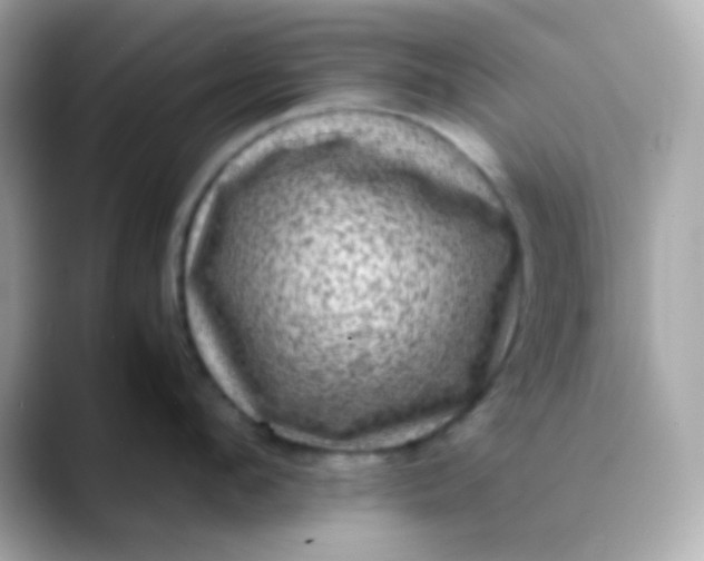 X0000088400912200706051133