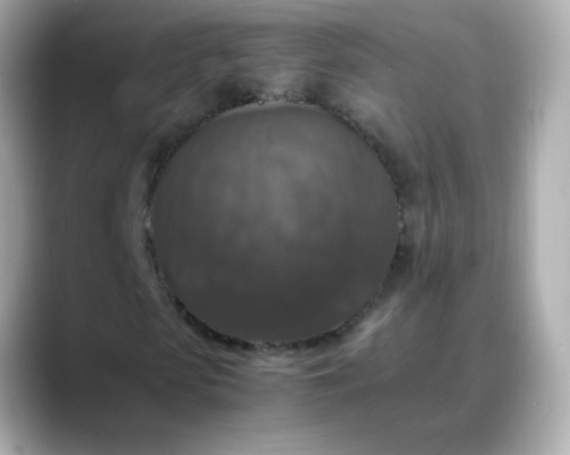 X0000088400913200706051133