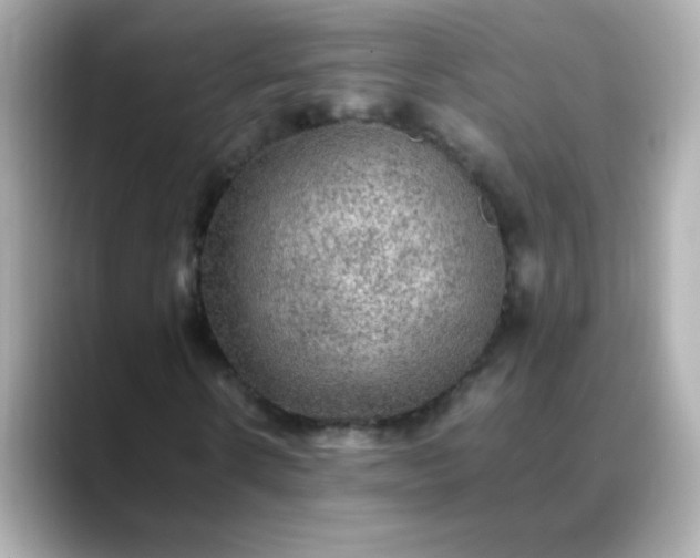 X0000088400914200706051133