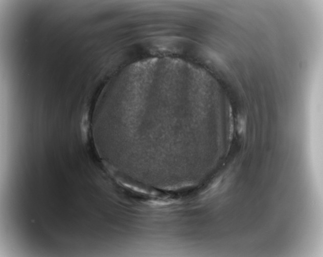 X0000088400915200706051133