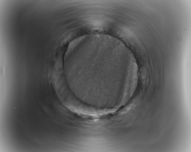 X0000088400916200706051133