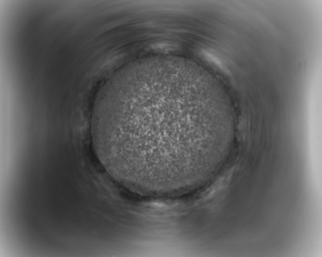 X0000088400917200706051133