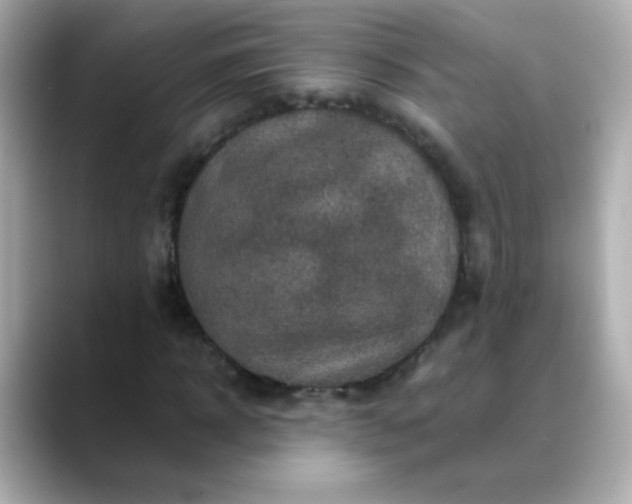 X0000088400918200706051133