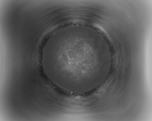 X0000088400919200706051133