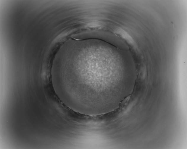 X0000088400920200706051133