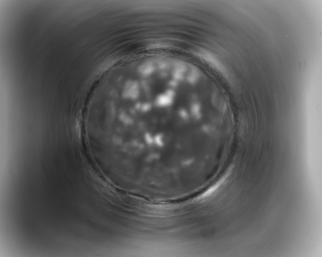 X0000088400921200706051133