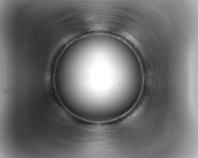 X0000088400922200706051133