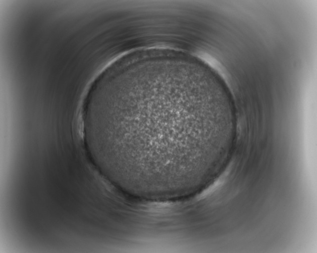 X0000088400925200706051133