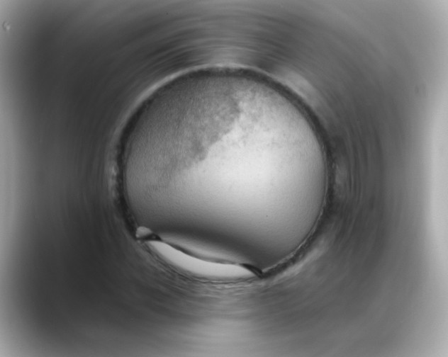 X0000088400926200706051133