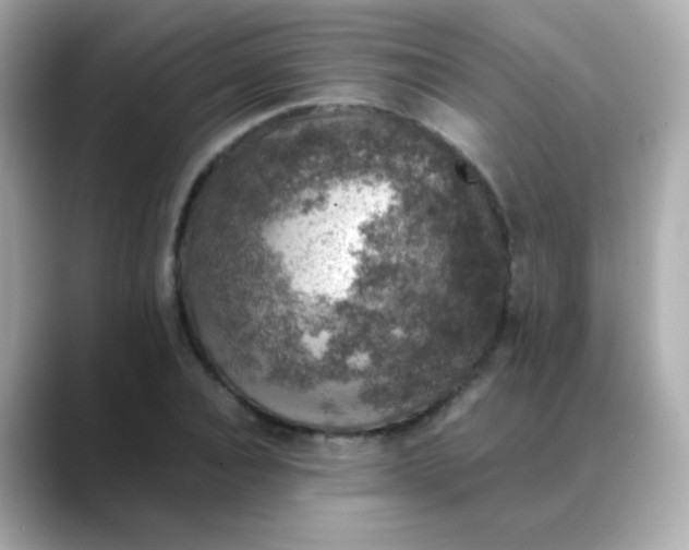 X0000088400928200706051133