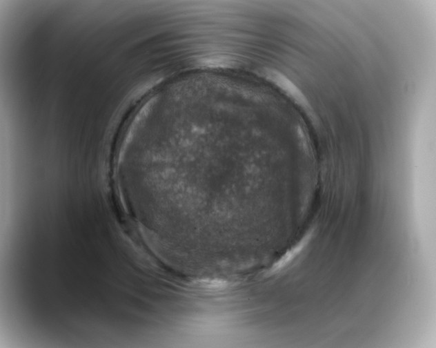 X0000088400930200706051133