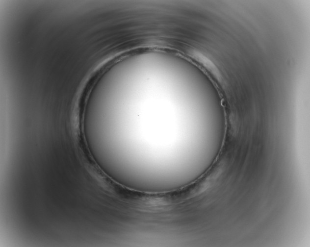 X0000088400931200706051133