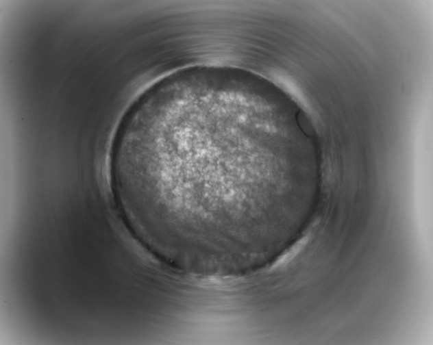 X0000088400932200706051133